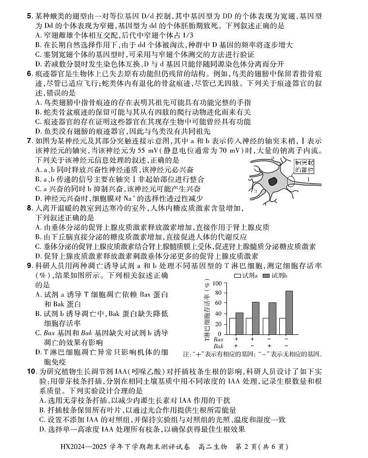 河南省安阳市滑县2024-2025学年高二下学期期末测评生物试卷第2页