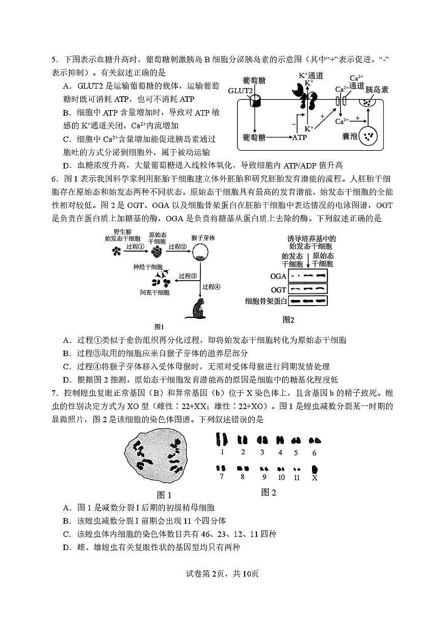福建省厦门一中2026届高三上学期10月月考生物试题+答案第2页