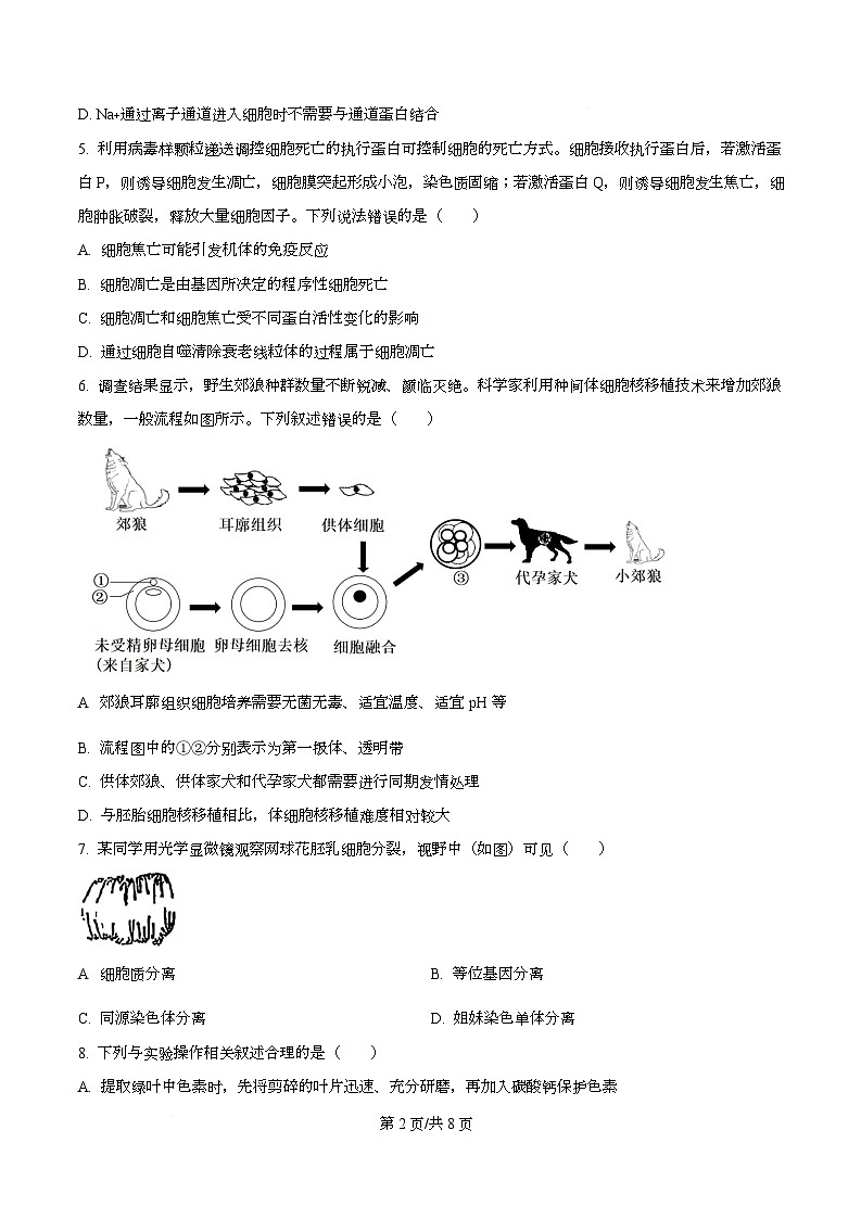 2026届四川省眉山市仁寿第一中学校南校区高三模拟预测生物试题 Word版无答案第2页
