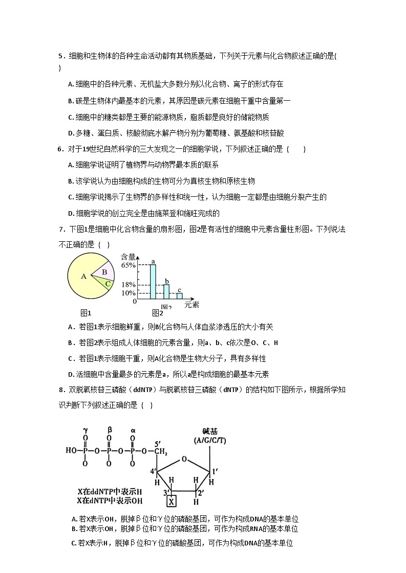 河南省商丘市2025-2026学年高一上学期第一次月考考试生物试题(人教A版)(无答案)第2页