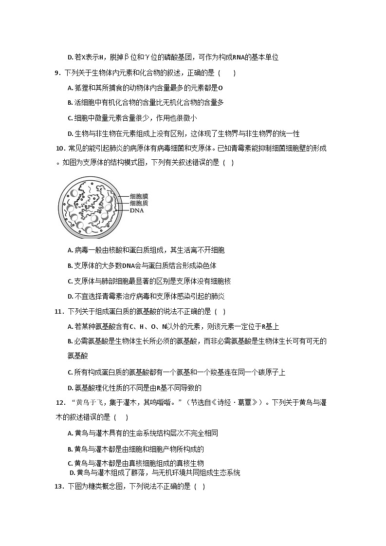 河南省商丘市2025-2026学年高一上学期第一次月考考试生物试题(人教A版)(无答案)第3页