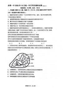 福建省泉州市永春县第一中学2025-2026学年高一上学期10月月考生物试题