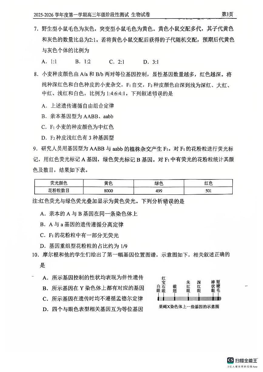 2025北京四中高三上10月月考生物试卷第3页