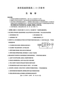 河南洛阳强基联盟联考2025-2026学年高二上学期10月考试生物试卷