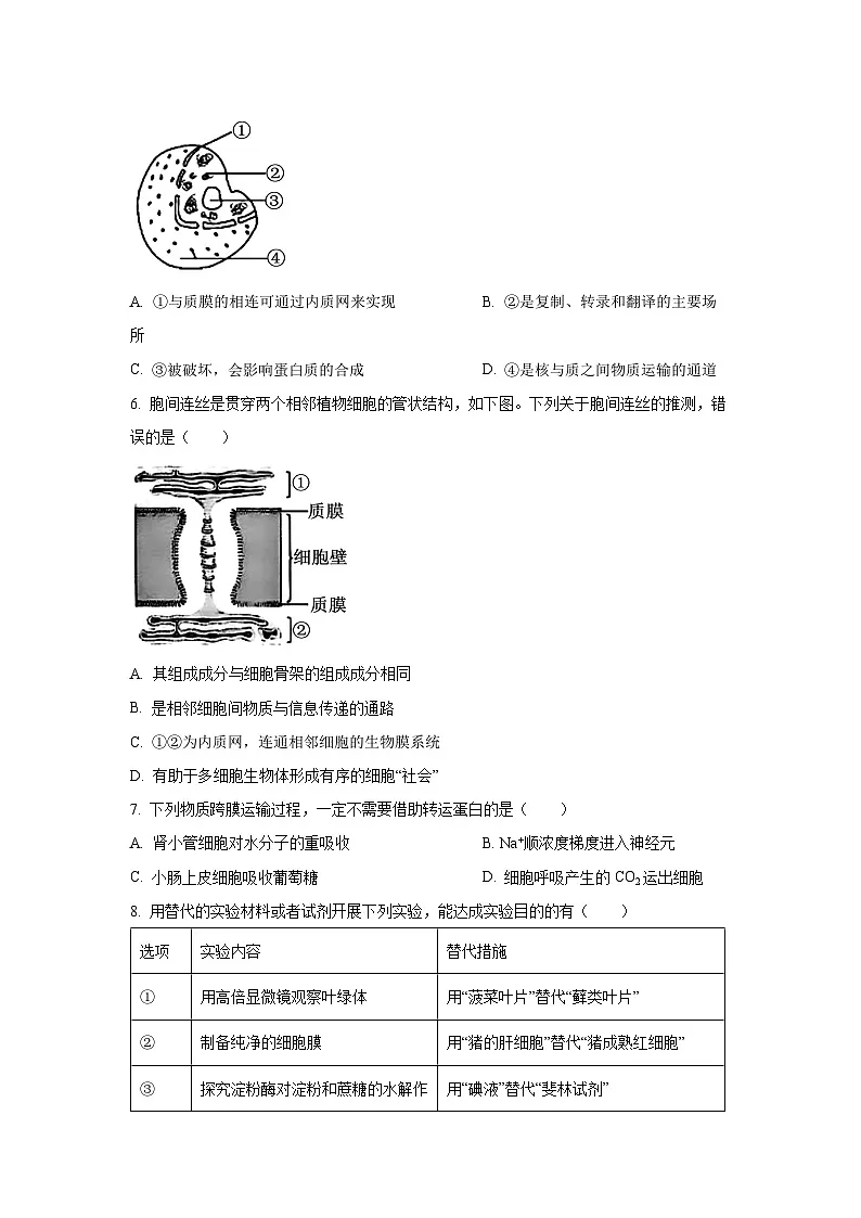 黑龙江省龙东联盟2025-2026学年高三上学期开学考试生物试题(学生版)第2页