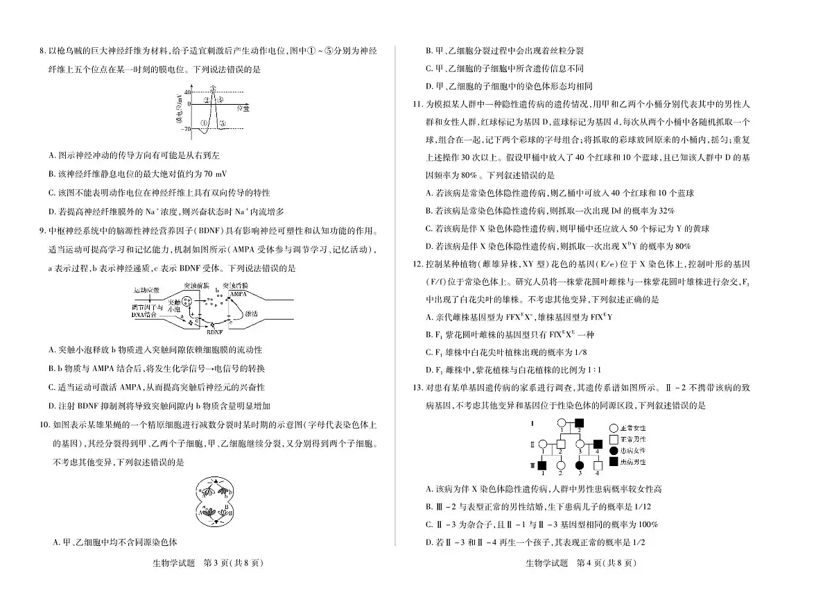 生物学+安徽省2025-2026学年高二上学期十月调研考试第2页