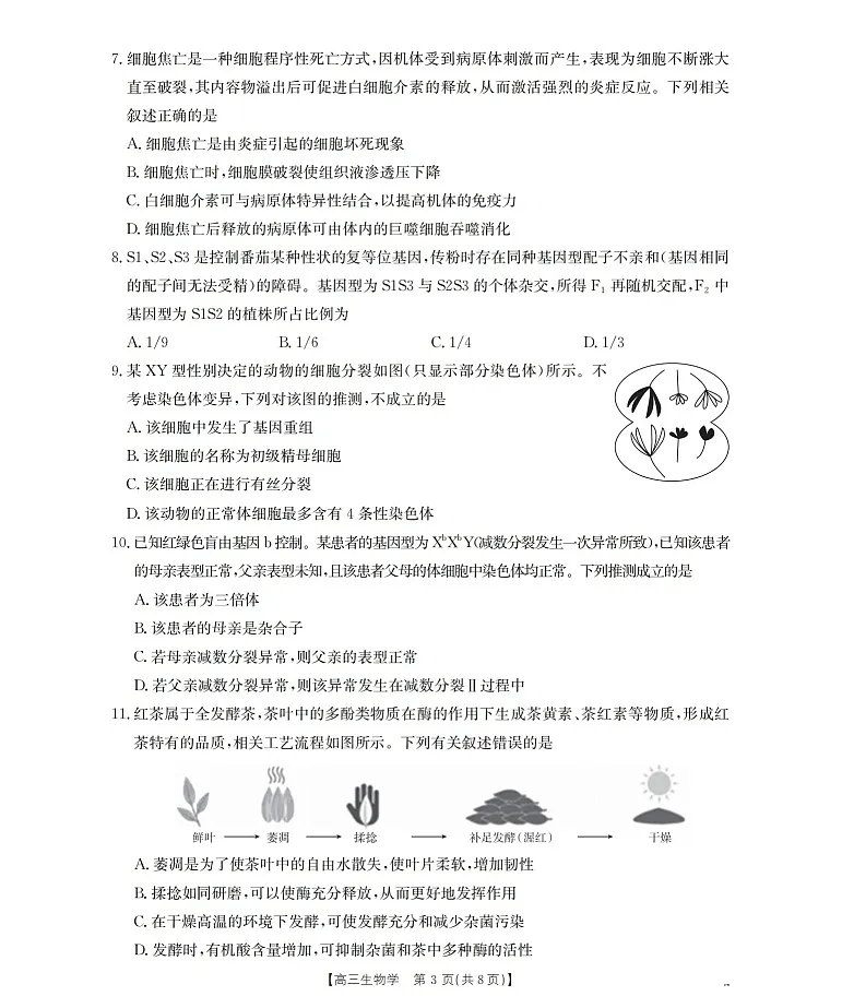 金太阳联考四川省2026届高三上学期10月考试生物试卷第3页