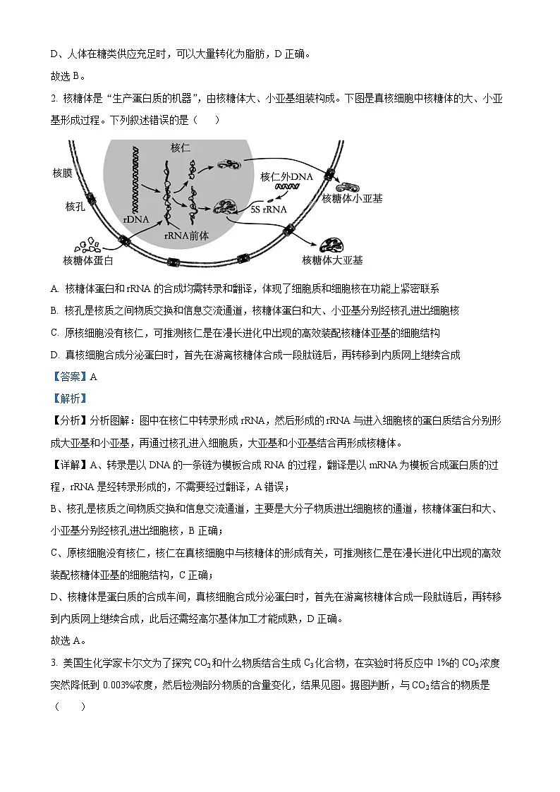 精品解析:河北省石家庄市长安区石家庄市第一中学2025-2026学年高三上学期9月月考生物试题(解析版)第2页
