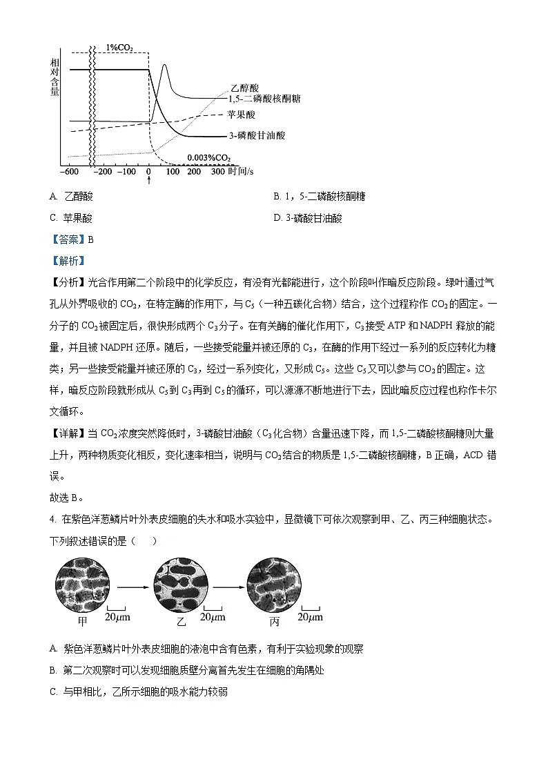 精品解析:河北省石家庄市长安区石家庄市第一中学2025-2026学年高三上学期9月月考生物试题(解析版)第3页