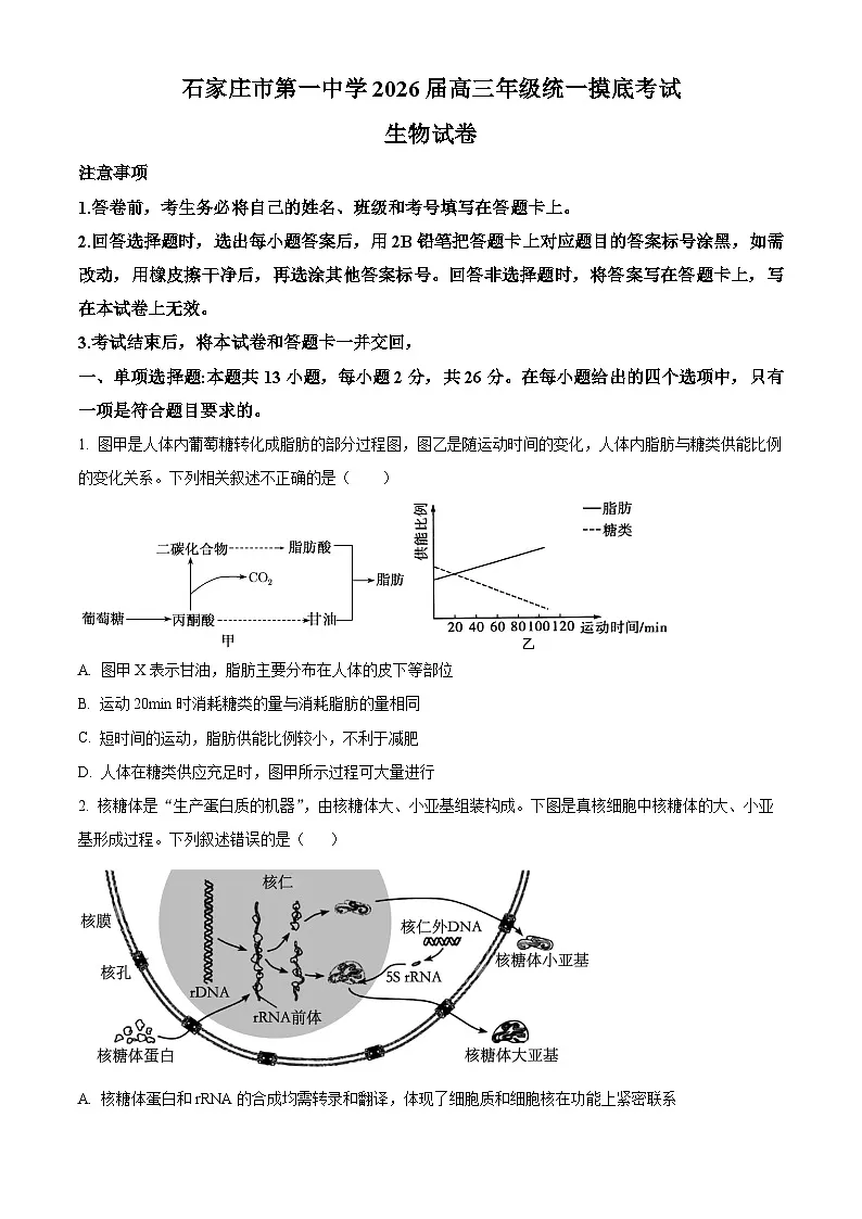 精品解析:河北省石家庄市长安区石家庄市第一中学2025-2026学年高三上学期9月月考生物试题(原卷版)第1页