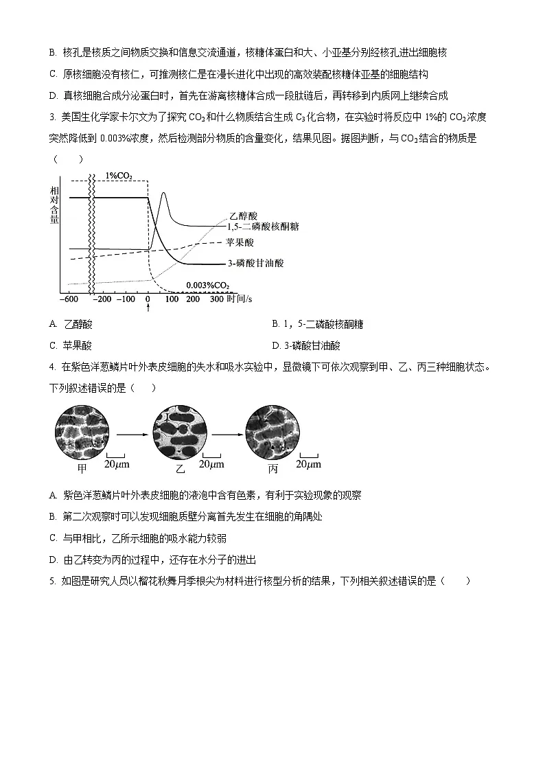 精品解析:河北省石家庄市长安区石家庄市第一中学2025-2026学年高三上学期9月月考生物试题(原卷版)第2页