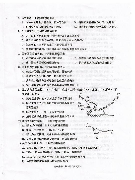 江苏省淮安市2024-2025学年高一上学期1月调研测试试题生物试卷第2页