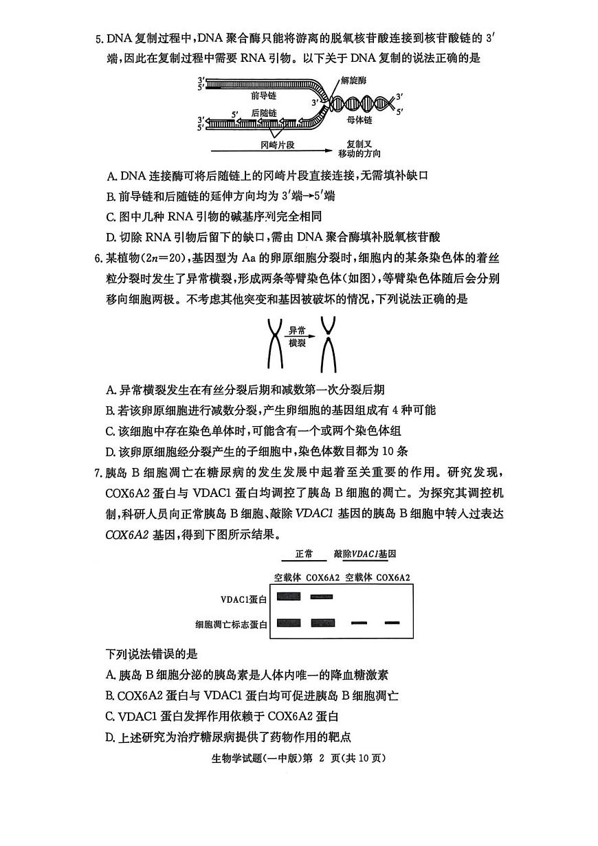 湖南省长沙市第一中学2025-2026学年高三上学期月考(二)生物试卷第2页