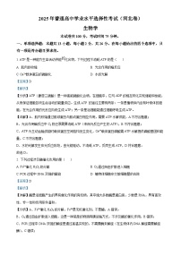 2025《高考真题•河北》生物真题(解析版)