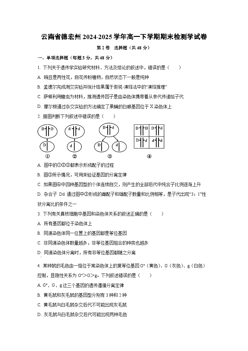 【生物】云南省德宏州2024-2025学年高一下学期期末检测学试卷 (学生版)第1页