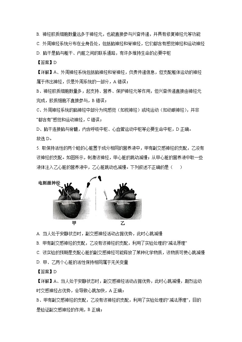 【生物】河南省南阳市六校2025-2026学年高二上学期10月月考(解析版)第3页