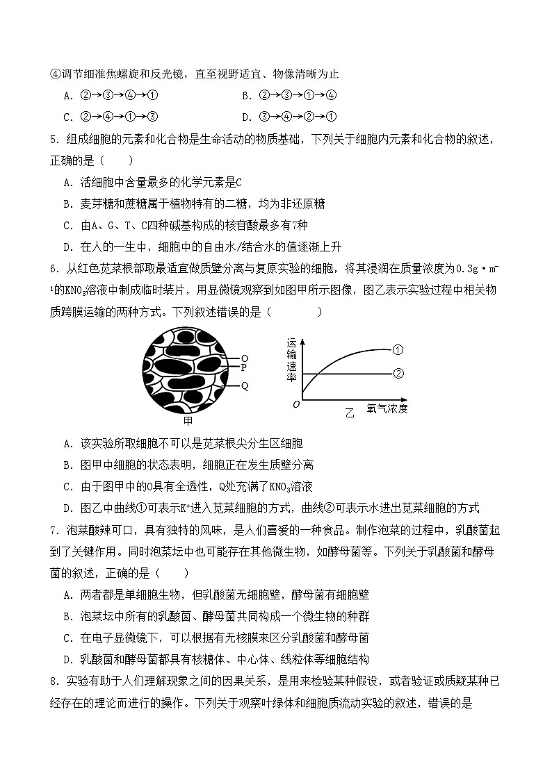 2025-2026学年高一生物期中模拟卷02【测试范围:人教版必修1前4章】(考试版)(人教版)第2页