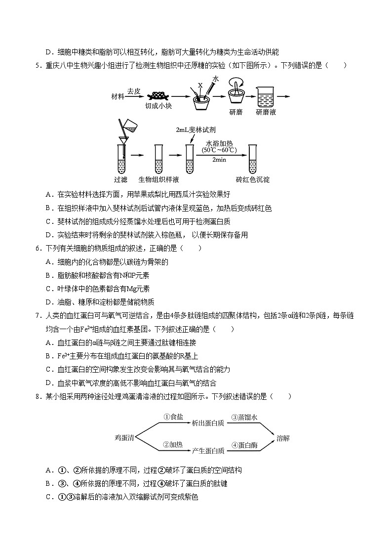 新高考高一生物上学期期中模拟卷【测试范围:必修一前四章】(考试版)(新高考通用版)(15单选+5不定项+5非选择)第2页