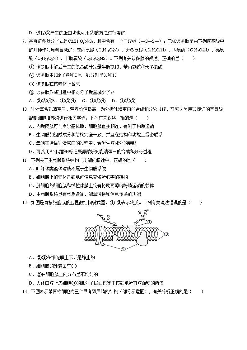 新高考高一生物上学期期中模拟卷【测试范围:必修一前四章】(考试版)(新高考通用版)(15单选+5不定项+5非选择)第3页