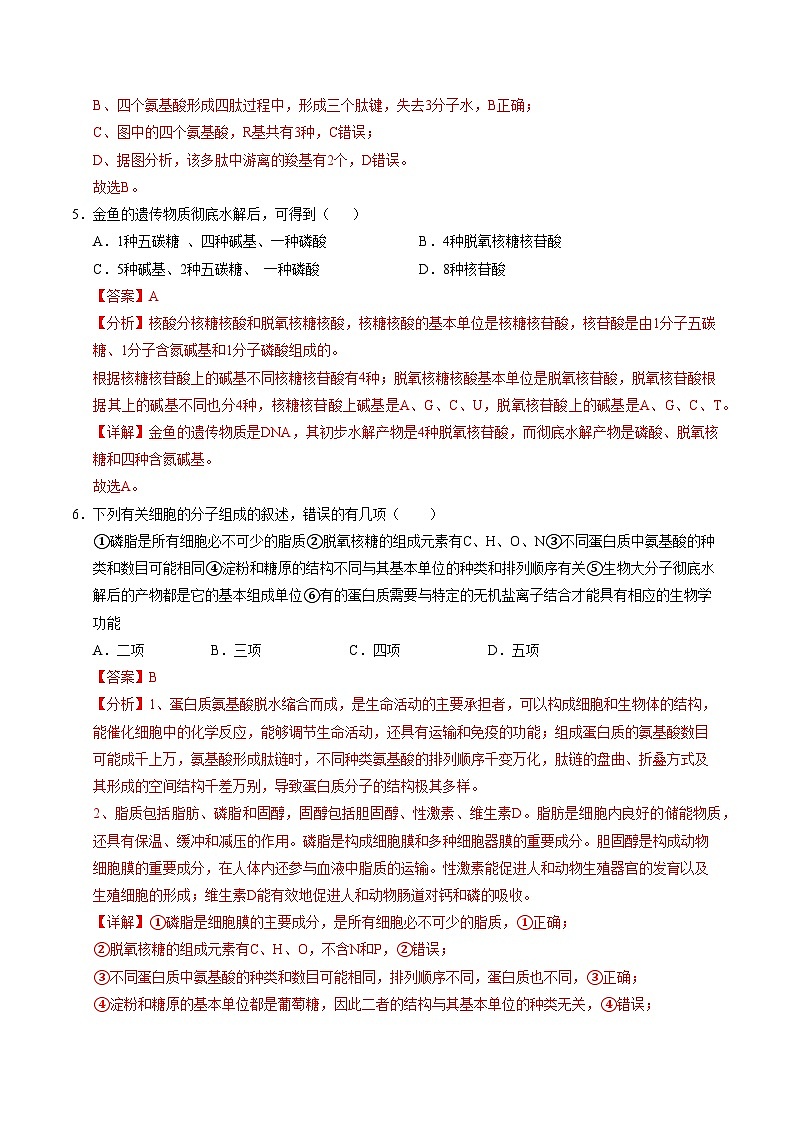 新高考高一生物上学期期中模拟卷(全解全析)(新高考通用版)(15单选+5多选+5非选择)第3页