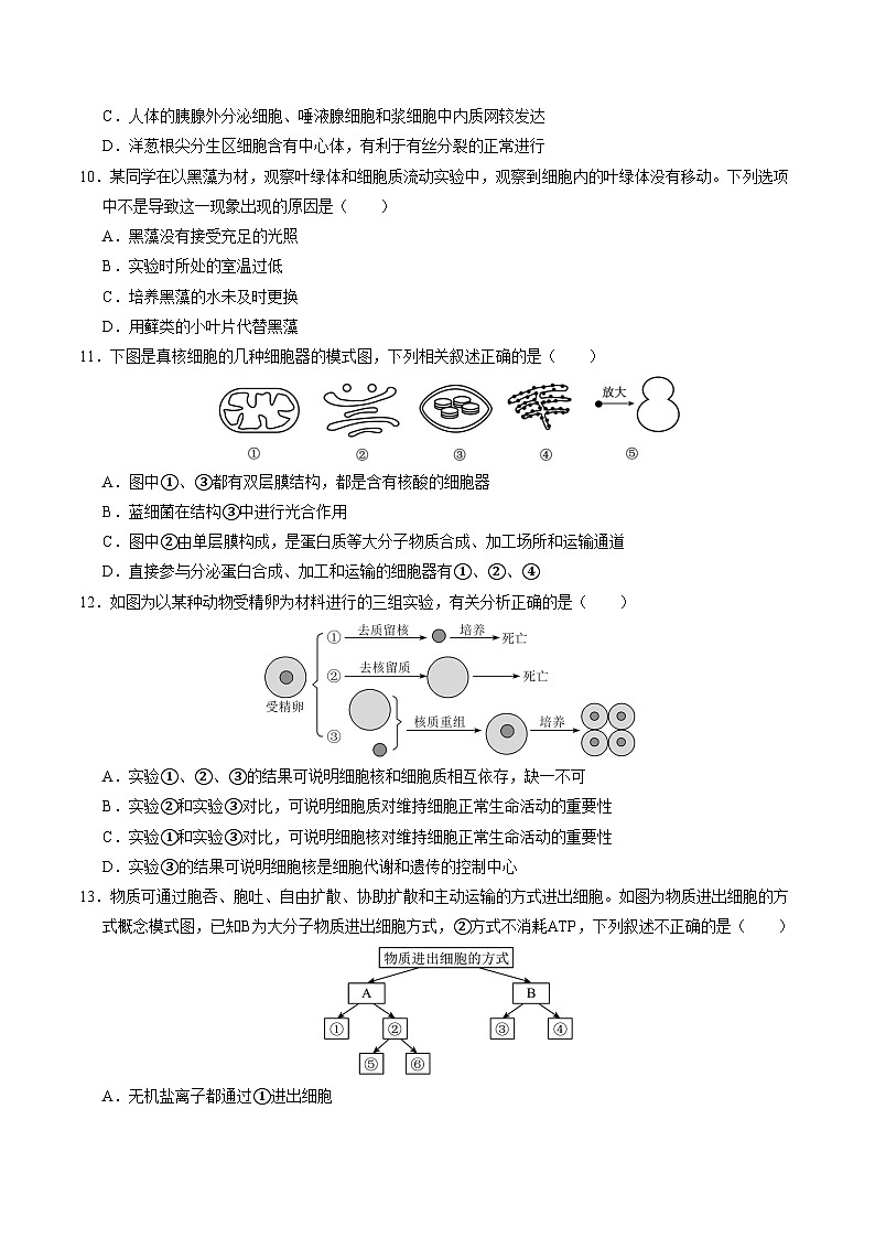 新高考高一生物上学期期中模拟卷【测试范围:必修一第一章至第四章】(考试版)(新高考通用版)(15单选+5多选+5非选择)第3页