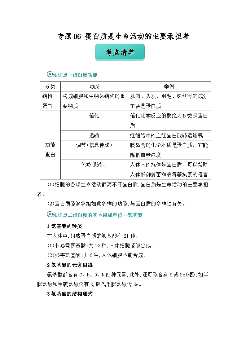 专题06 蛋白质是生命活动的主要承担者 2024-2025学年人教版2019 高一必修一生物 期中复习 (知识点+习题) (解析版)第1页