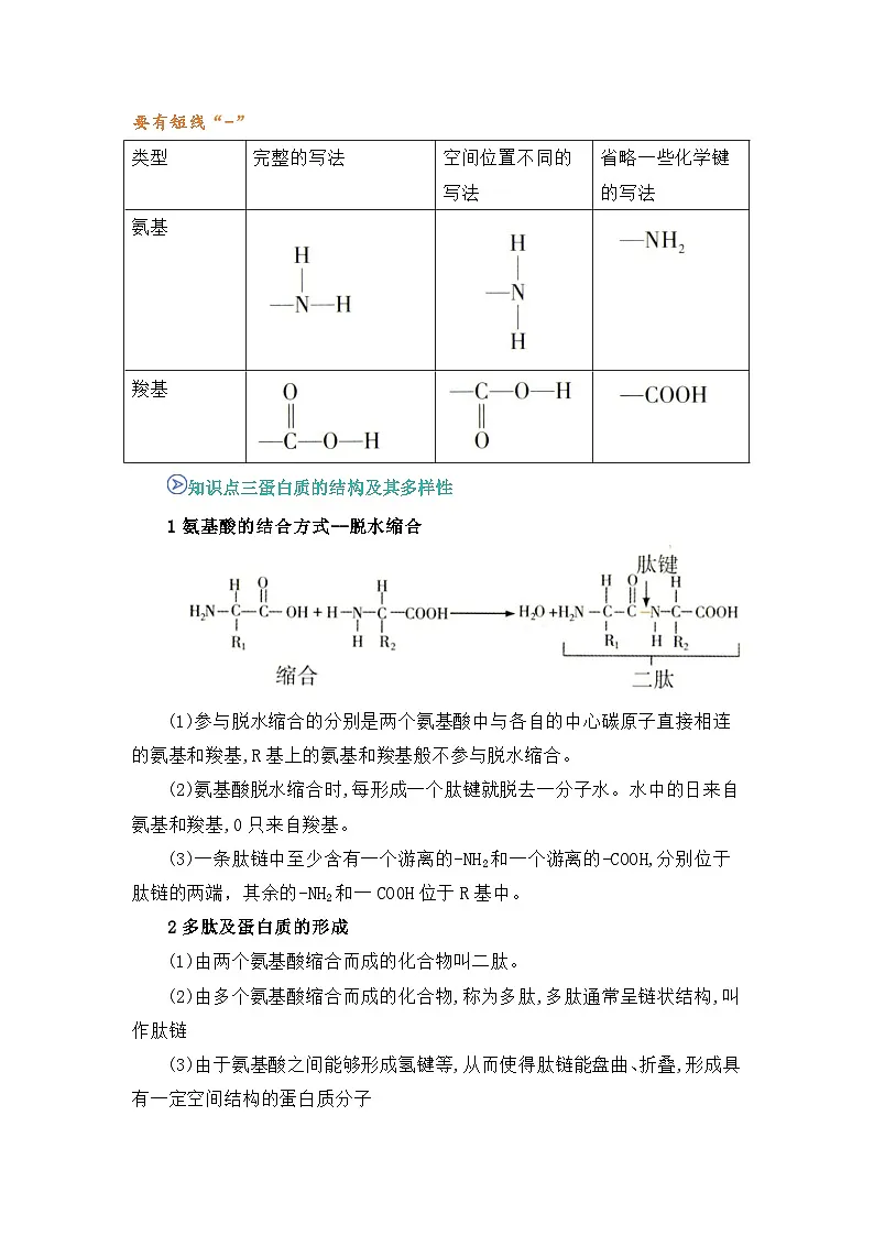 专题06 蛋白质是生命活动的主要承担者 2024-2025学年人教版2019 高一必修一生物 期中复习 (知识点+习题) (解析版)第3页