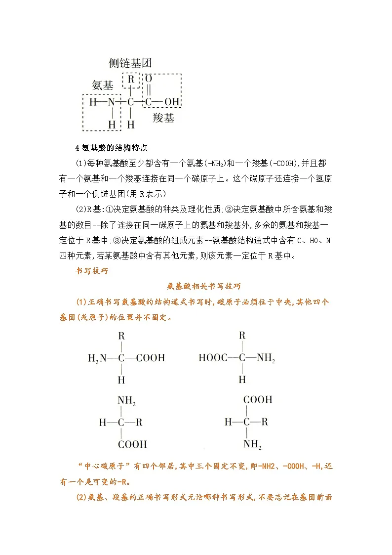 专题06 蛋白质是生命活动的主要承担者 2024-2025学年人教版2019 高一必修一生物 期中复习(知识点+习题)(原卷版)第2页