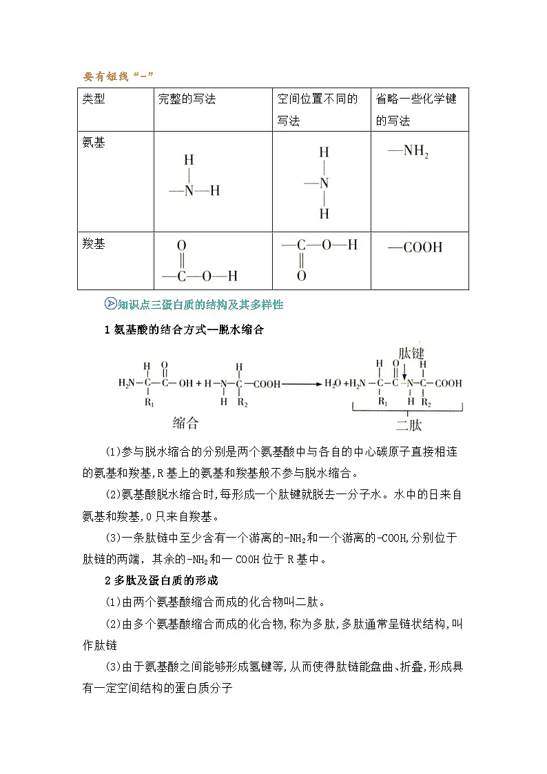 专题06 蛋白质是生命活动的主要承担者 2024-2025学年人教版2019 高一必修一生物 期中复习(知识点+习题)(原卷版)第3页