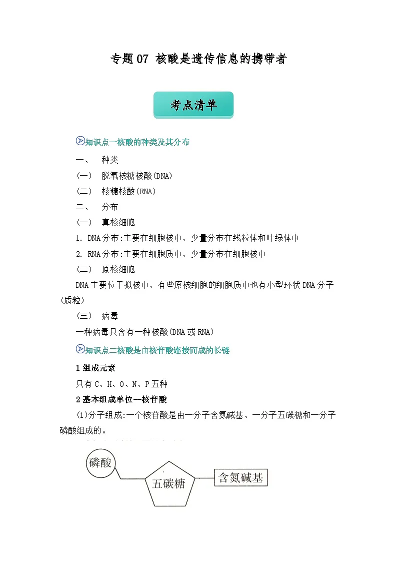 专题07 核酸是遗传信息的携带者 2024-2025学年人教版2019 高一必修一生物 期中复习(知识点+习题)(原卷版)第1页