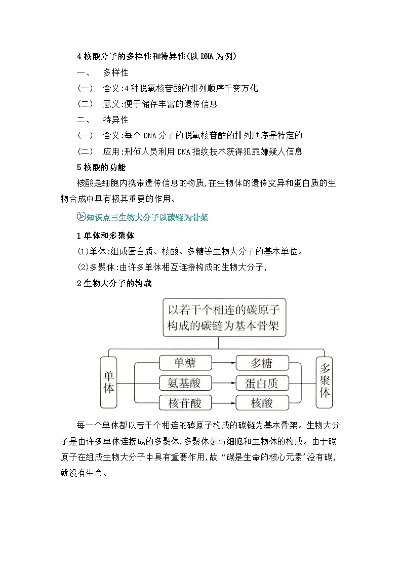 专题07 核酸是遗传信息的携带者 2024-2025学年人教版2019 高一必修一生物 期中复习(知识点+习题)(原卷版)第3页
