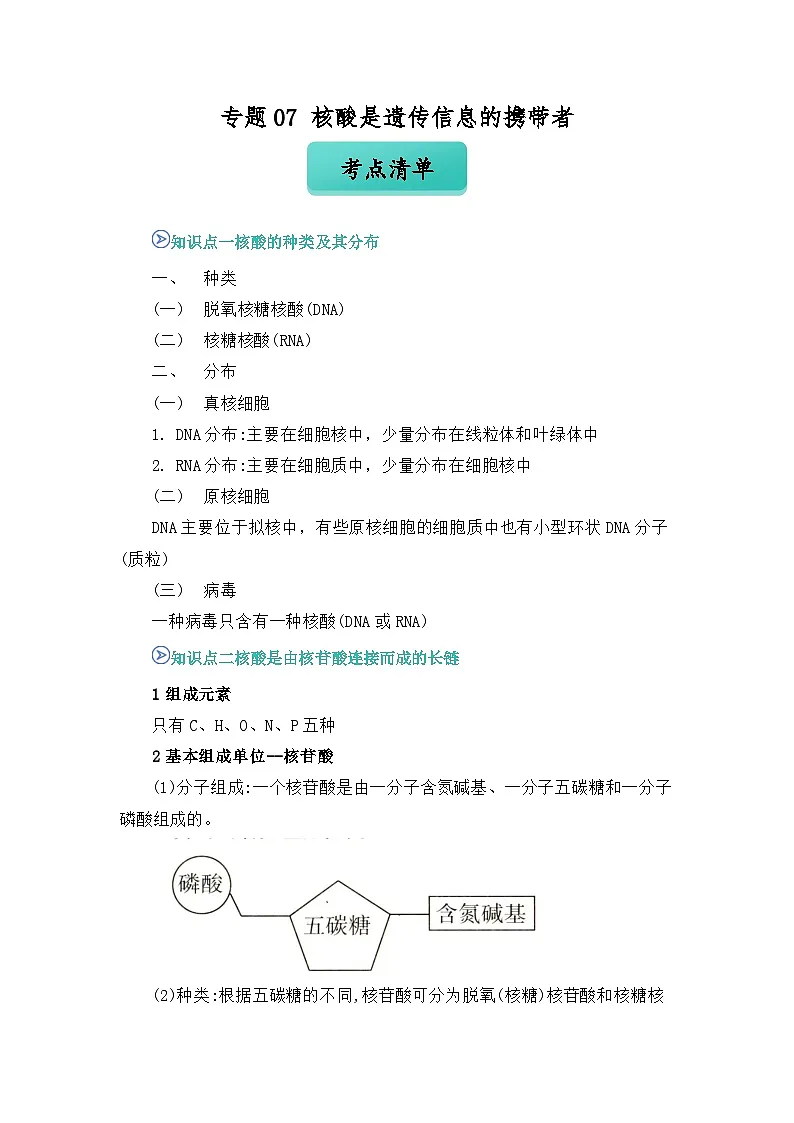 专题07 核酸是遗传信息的携带者2024-2025学年人教版2019 高一必修一生物 期中复习(知识点+习题)(解析版)第1页
