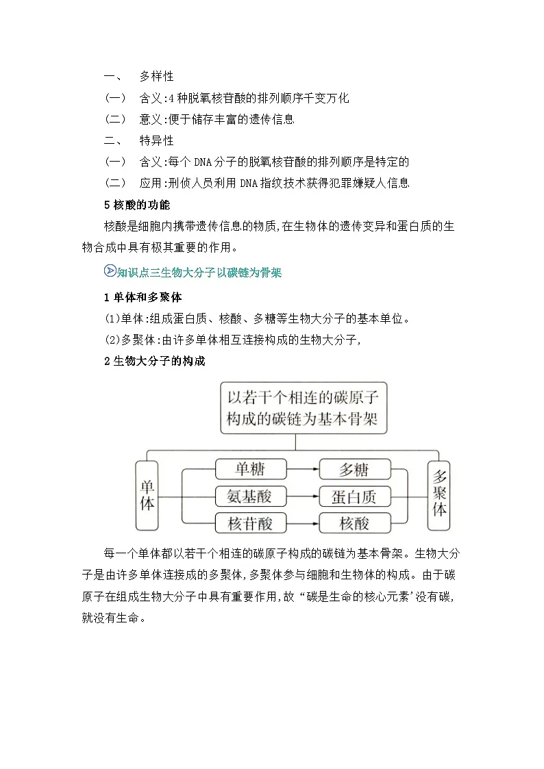 专题07 核酸是遗传信息的携带者2024-2025学年人教版2019 高一必修一生物 期中复习(知识点+习题)(解析版)第3页