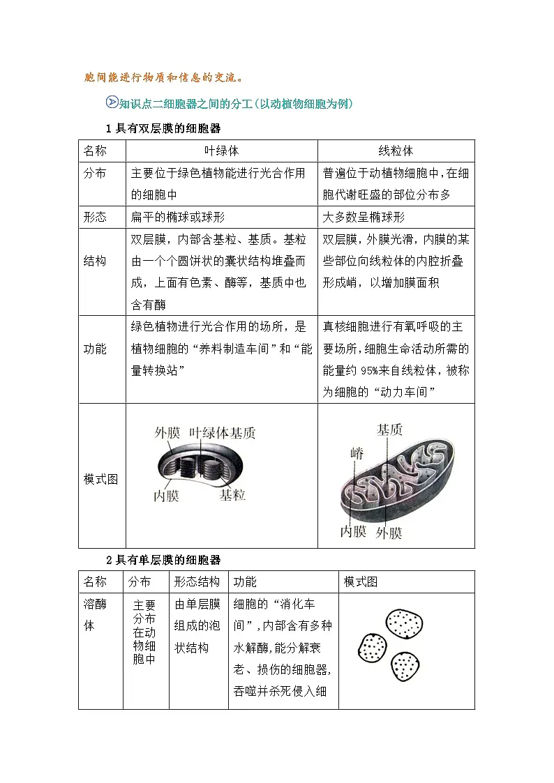 专题09 细胞器之间的分工合作 2024-2025学年人教版2019 高一必修一生物 期中复习(知识点+习题)(原卷版)第2页