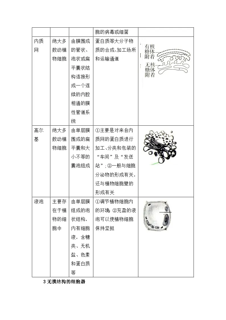 专题09 细胞器之间的分工合作 2024-2025学年人教版2019 高一必修一生物 期中复习(知识点+习题)(原卷版)第3页