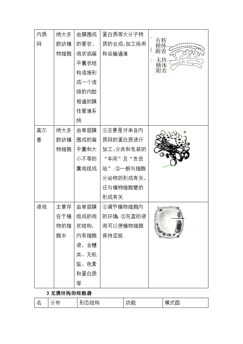 专题09 细胞器之间的分工合作 2024-2025学年人教版2019 高一必修一生物 期中复习(知识点+习题)(解析版)第3页