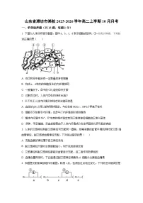 山东省潍坊市某校2025-2026学年高二上学期10月月考 生物试卷(学生版)