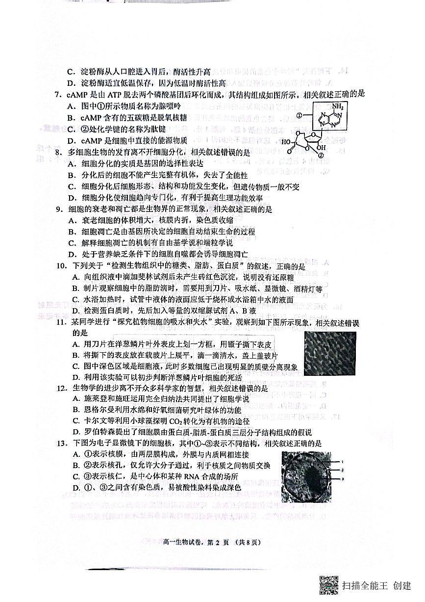 江苏省南通市2024-2025学年高一上学期1月期末生物试题第2页