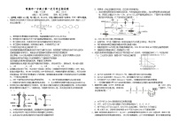湖南省常德市第一中学2024-2025学年高三上学期第一次月考生物试题