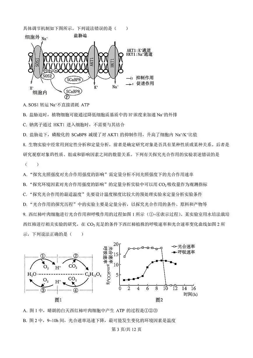 精品解析:山东省实验中学2025—2026学年高三上学期第一次诊断性考试生物试题(原卷版)第3页