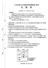 湖南省2026届高三上学期10月阶段监测联考生物试题+答案