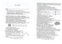 河南省九师联盟2025-2026学年高二上学期10月月考生物试题