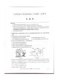 江西省新十校协作体2025-2026学年高三上学期第一次联考生物试卷（含答案）含答案解析