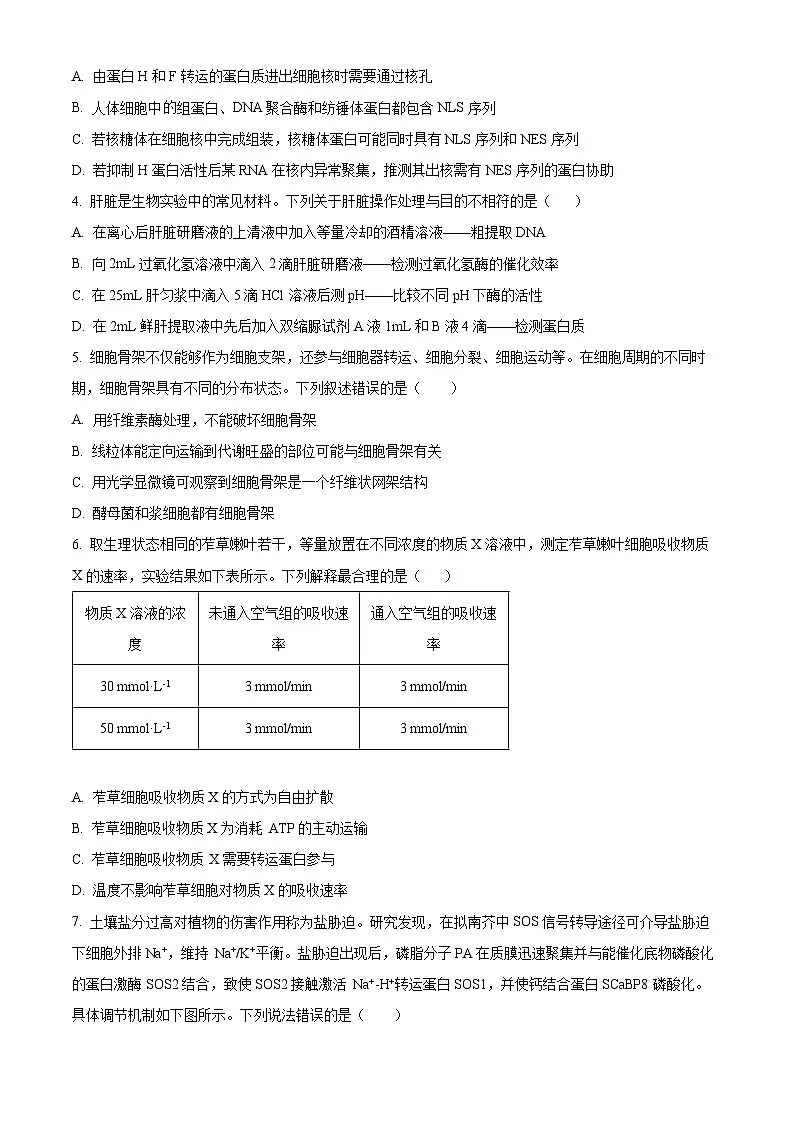 精品解析:山东省实验中学2025—2026学年高三上学期第一次诊断性考试生物试题(原卷版)第2页