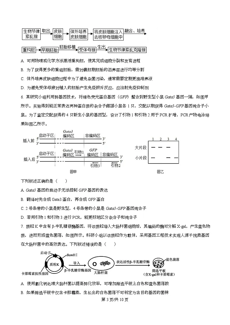 陕西省咸阳市实验中学2026届高三上学期第二次质量检测+生物第3页