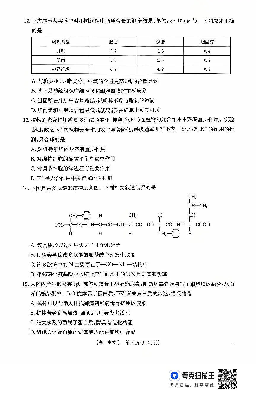 生物-广东省金太阳2028届高一年级上学期10月份联考(26-48A)试题及答案第3页