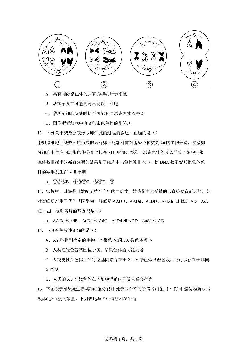 吉林省长春市第八中学2024-2025学年高一下学期4月月考生物试卷+答案第3页