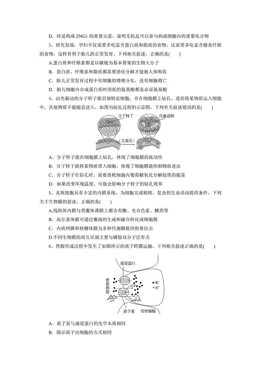 湖北省部分高中协作体2024-2025学年高一下学期4月期中联考生物试卷+答案第2页