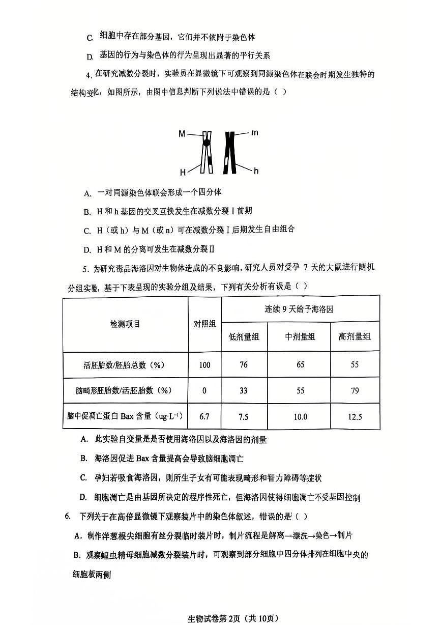 湖北省武汉市问津联盟2024-2025学年高一下学期5月月考试题生物试卷+答案第2页