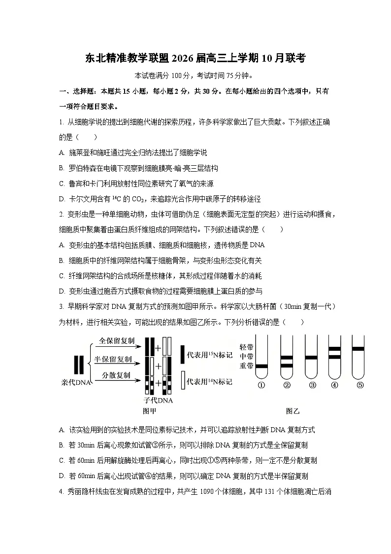 东北精准教学联盟2026届高三上学期10月联考生物试卷(学生版)第1页